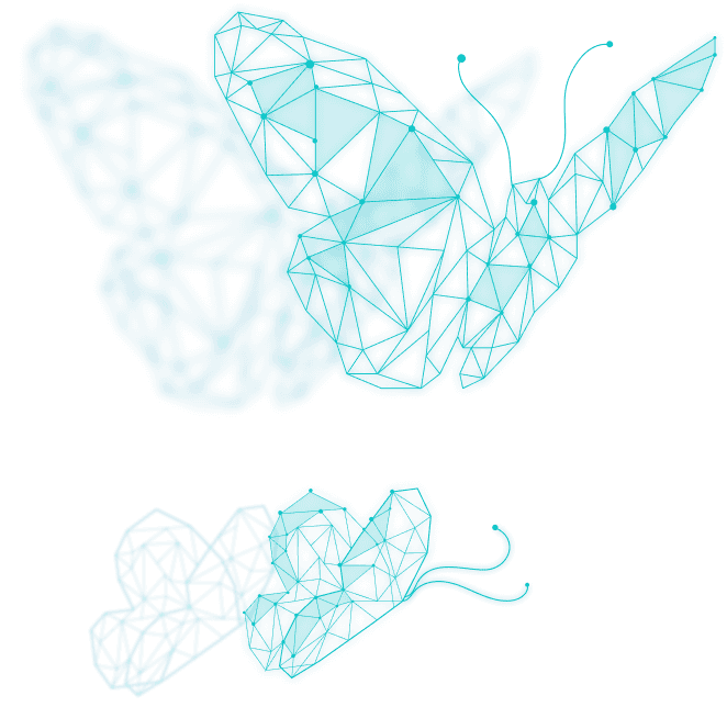 Butterfly image